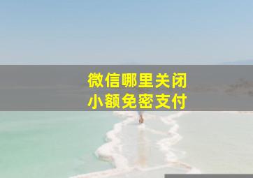 微信哪里关闭小额免密支付