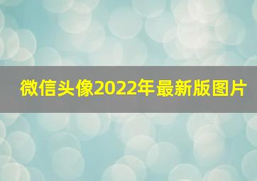 微信头像2022年最新版图片