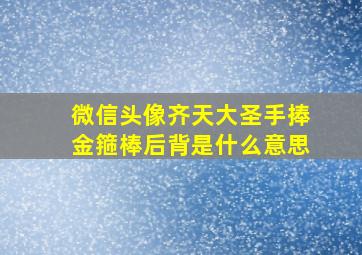 微信头像齐天大圣手捧金箍棒后背是什么意思