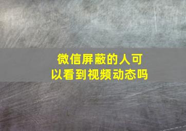 微信屏蔽的人可以看到视频动态吗