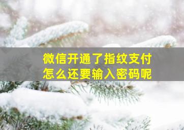 微信开通了指纹支付怎么还要输入密码呢