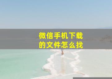 微信手机下载的文件怎么找