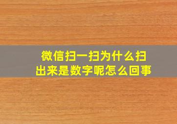 微信扫一扫为什么扫出来是数字呢怎么回事