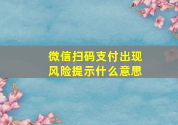 微信扫码支付出现风险提示什么意思