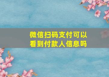 微信扫码支付可以看到付款人信息吗