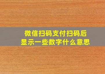 微信扫码支付扫码后显示一些数字什么意思