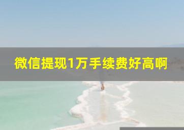 微信提现1万手续费好高啊