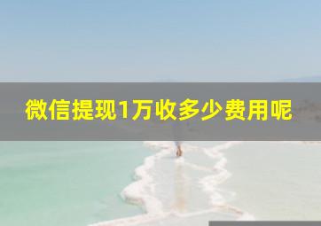 微信提现1万收多少费用呢