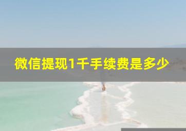 微信提现1千手续费是多少