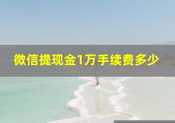 微信提现金1万手续费多少