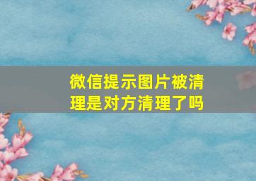 微信提示图片被清理是对方清理了吗