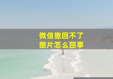 微信撤回不了图片怎么回事