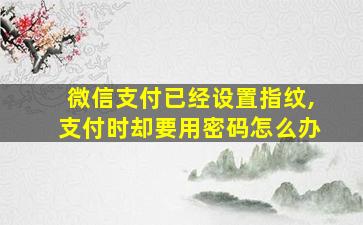 微信支付已经设置指纹,支付时却要用密码怎么办