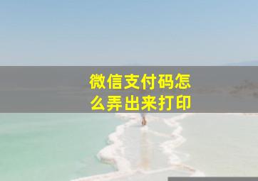 微信支付码怎么弄出来打印