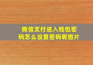 微信支付进入钱包密码怎么设置密码呢图片