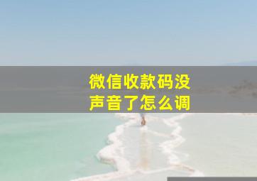 微信收款码没声音了怎么调