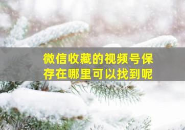 微信收藏的视频号保存在哪里可以找到呢