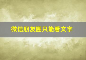 微信朋友圈只能看文字