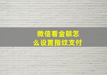 微信看金额怎么设置指纹支付