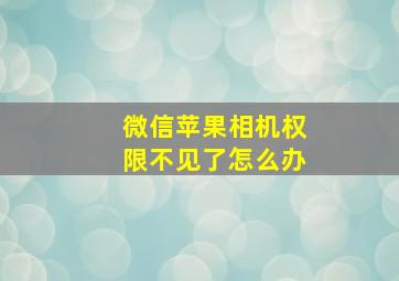 微信苹果相机权限不见了怎么办