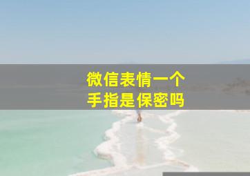 微信表情一个手指是保密吗