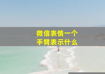 微信表情一个手臂表示什么