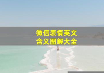 微信表情英文含义图解大全