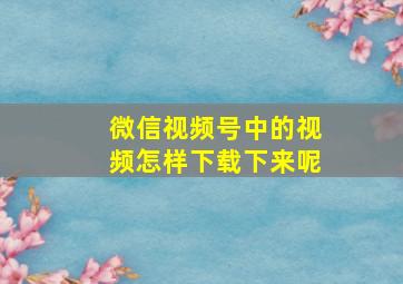 微信视频号中的视频怎样下载下来呢