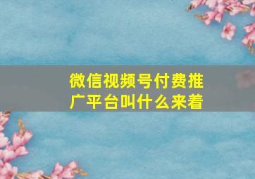 微信视频号付费推广平台叫什么来着