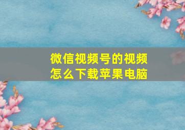 微信视频号的视频怎么下载苹果电脑