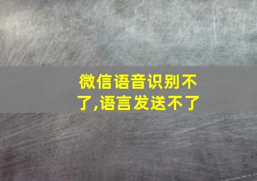 微信语音识别不了,语言发送不了