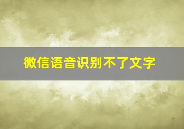 微信语音识别不了文字