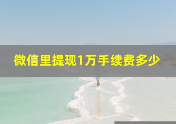 微信里提现1万手续费多少