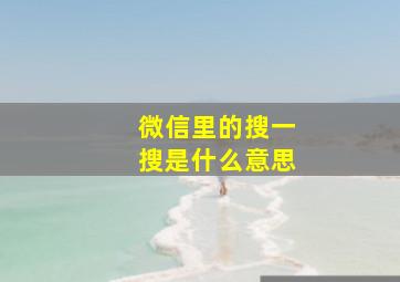 微信里的搜一搜是什么意思