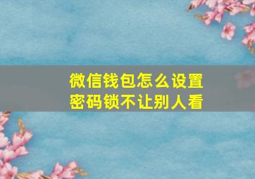 微信钱包怎么设置密码锁不让别人看