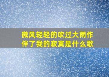 微风轻轻的吹过大雨作伴了我的寂寞是什么歌