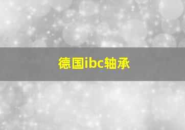 德国ibc轴承