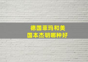 德国菲玛和美国本杰明哪种好