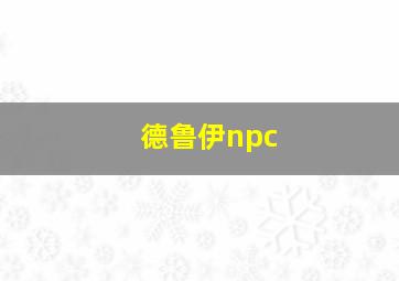 德鲁伊npc