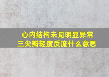 心内结构未见明显异常三尖瓣轻度反流什么意思