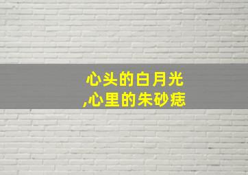 心头的白月光,心里的朱砂痣