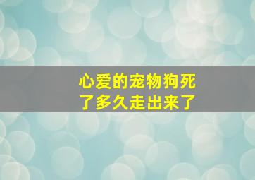 心爱的宠物狗死了多久走出来了