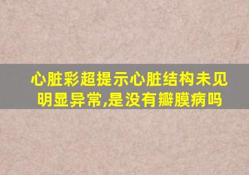 心脏彩超提示心脏结构未见明显异常,是没有瓣膜病吗