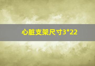 心脏支架尺寸3*22