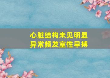 心脏结构未见明显异常频发室性早搏