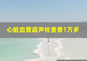 心脏血管超声检查费1万多