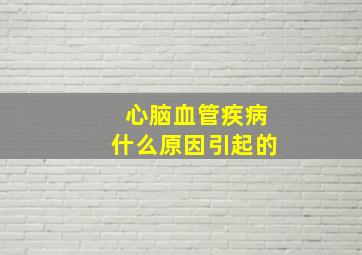 心脑血管疾病什么原因引起的