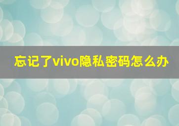 忘记了vivo隐私密码怎么办