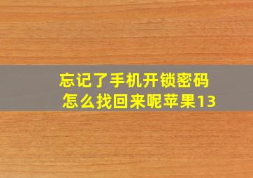 忘记了手机开锁密码怎么找回来呢苹果13