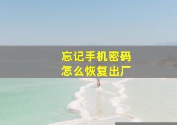 忘记手机密码怎么恢复出厂